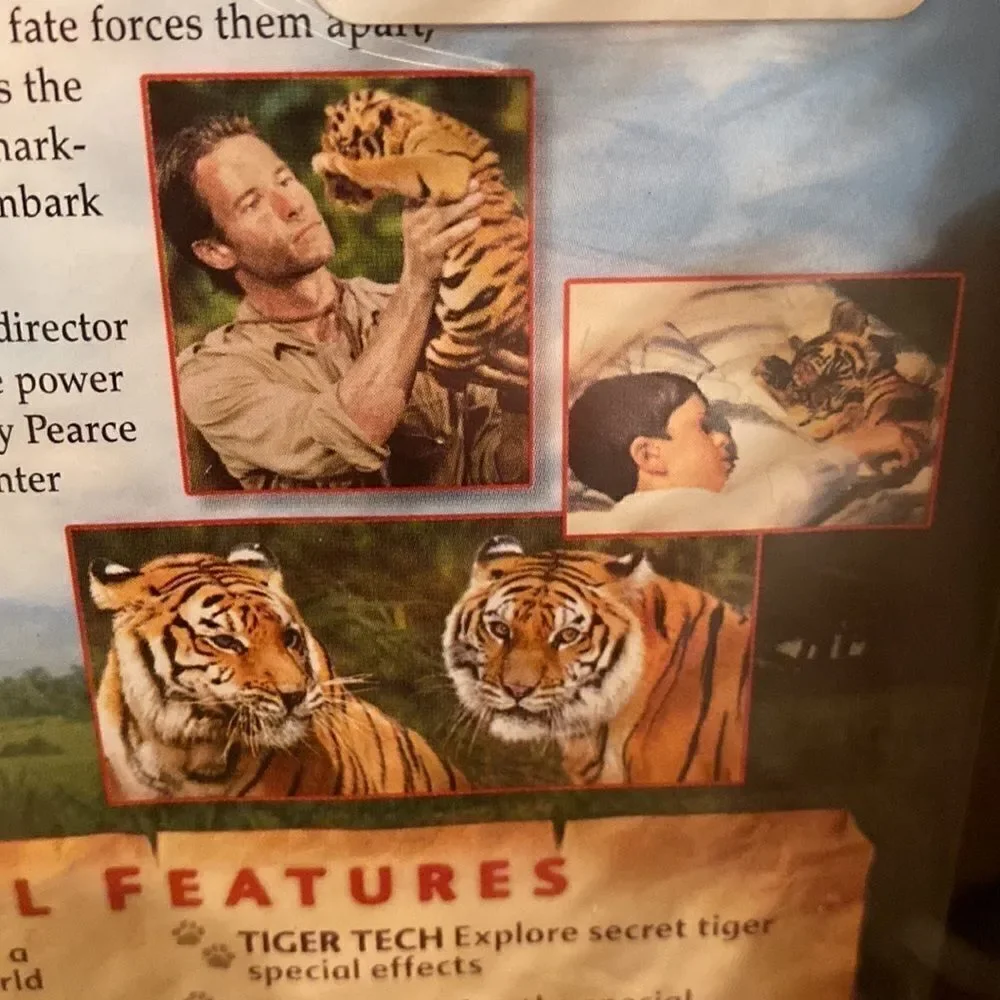 DVD Two Brothers The Best Family Film of the Year PG Widescreen 🍿3/$15 - Picture 8 of 12